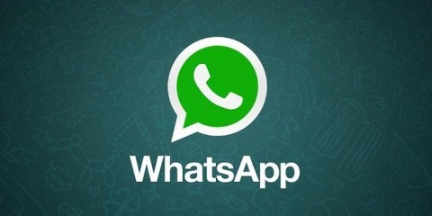 whatsapp macos app
