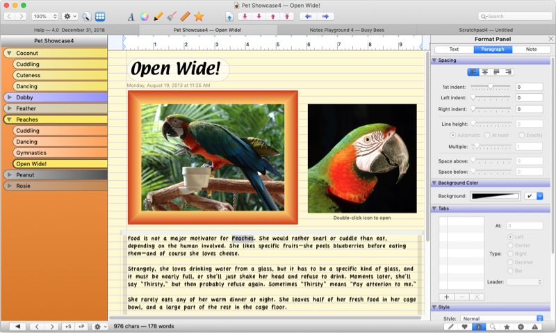 best alternatives onenote for mac - growly notes