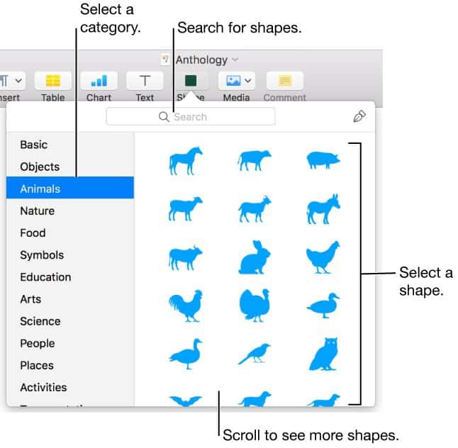 draw org chart in pages - apple pages mac shapes