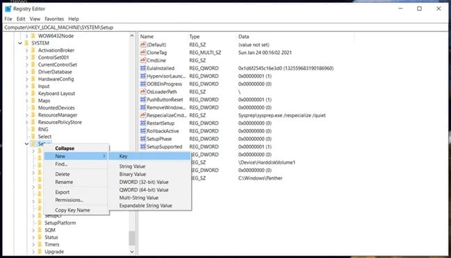 registry editor tpm bypass windows 11 mac