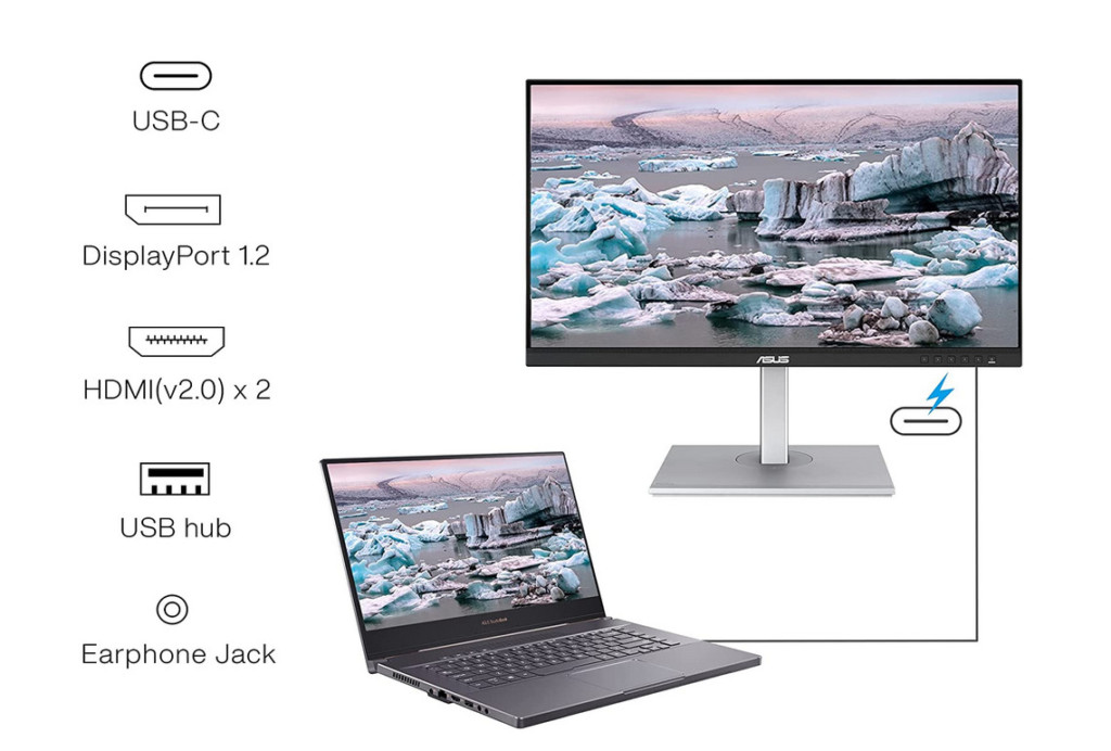 asus proart display connectivity