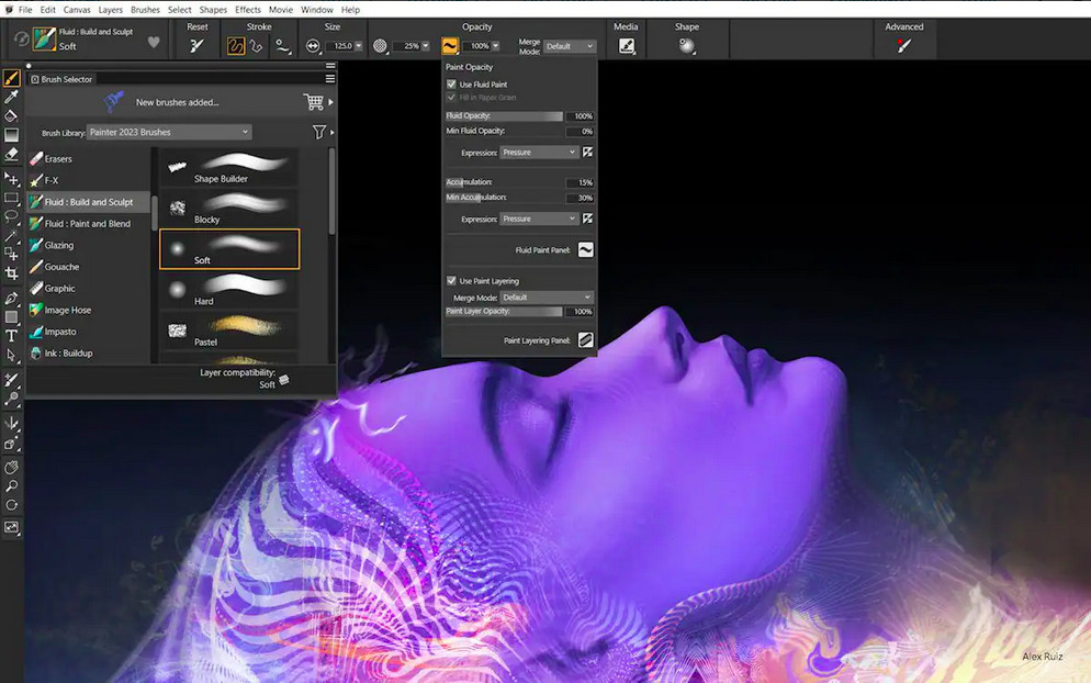 corel painter 2023 for mac