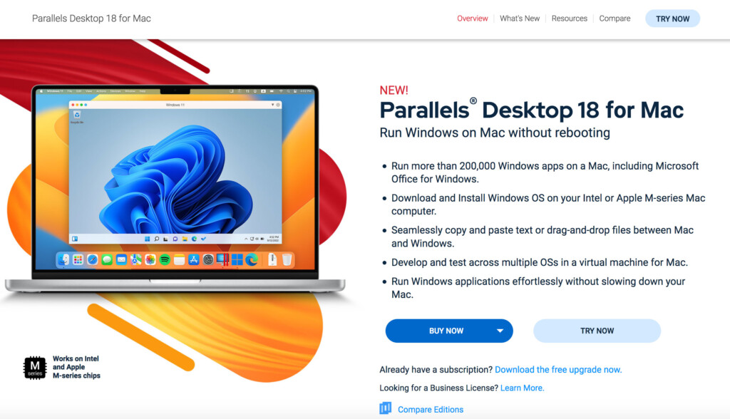 run windows 11 mac - parallels