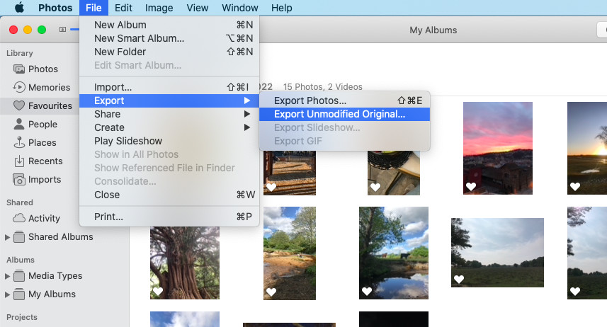 All photos from icloud
