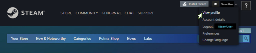 steam library public setting