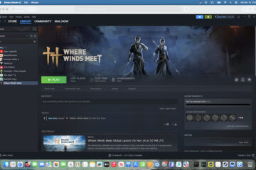 how to play where winds meet mac - cover