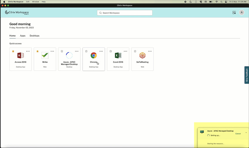 citrix workspace for mac