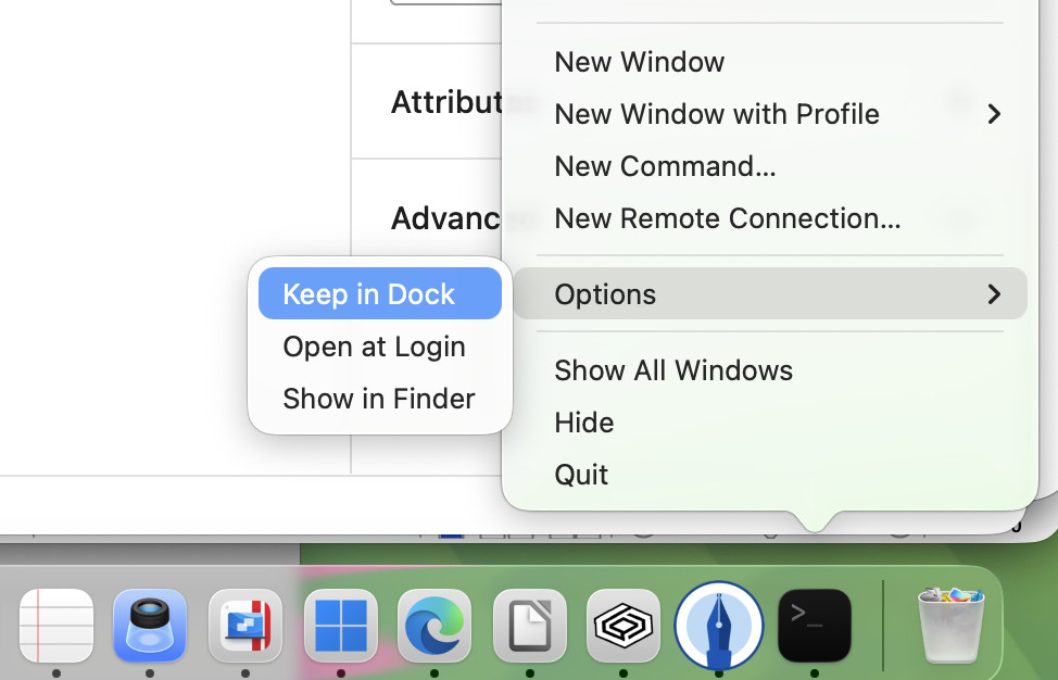 add Terminal to Dock on Mac