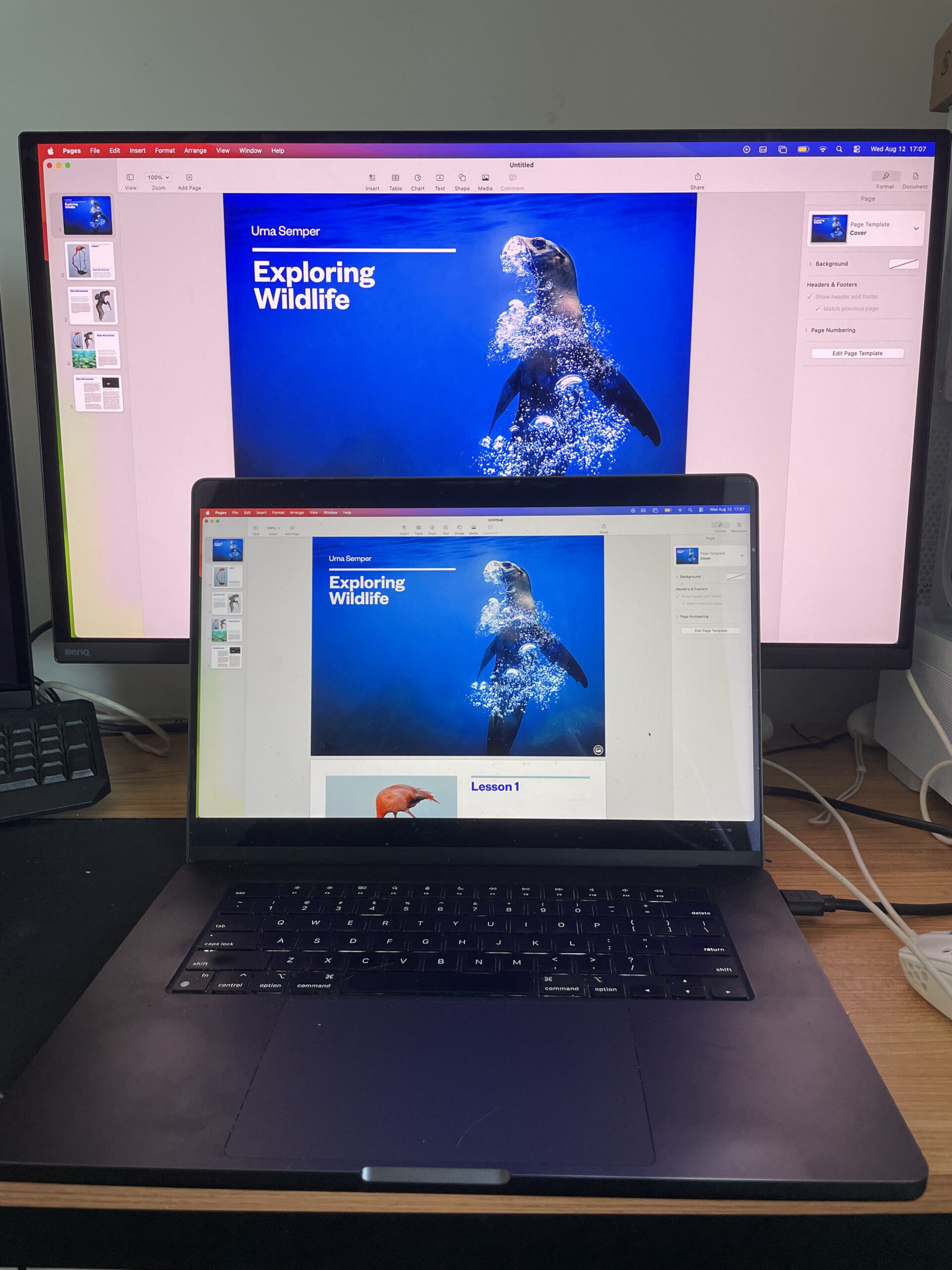 BenQ MOBIUZ EX271UZ image quality connected to macbook pro