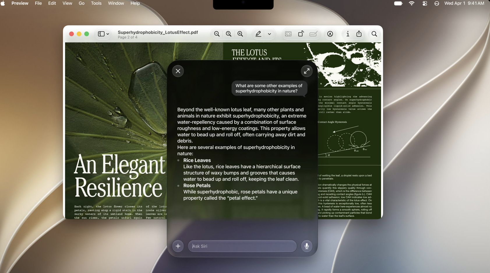 macos golden gate siri ai