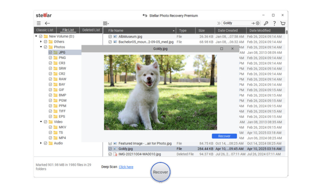 stellar data recovery for mac