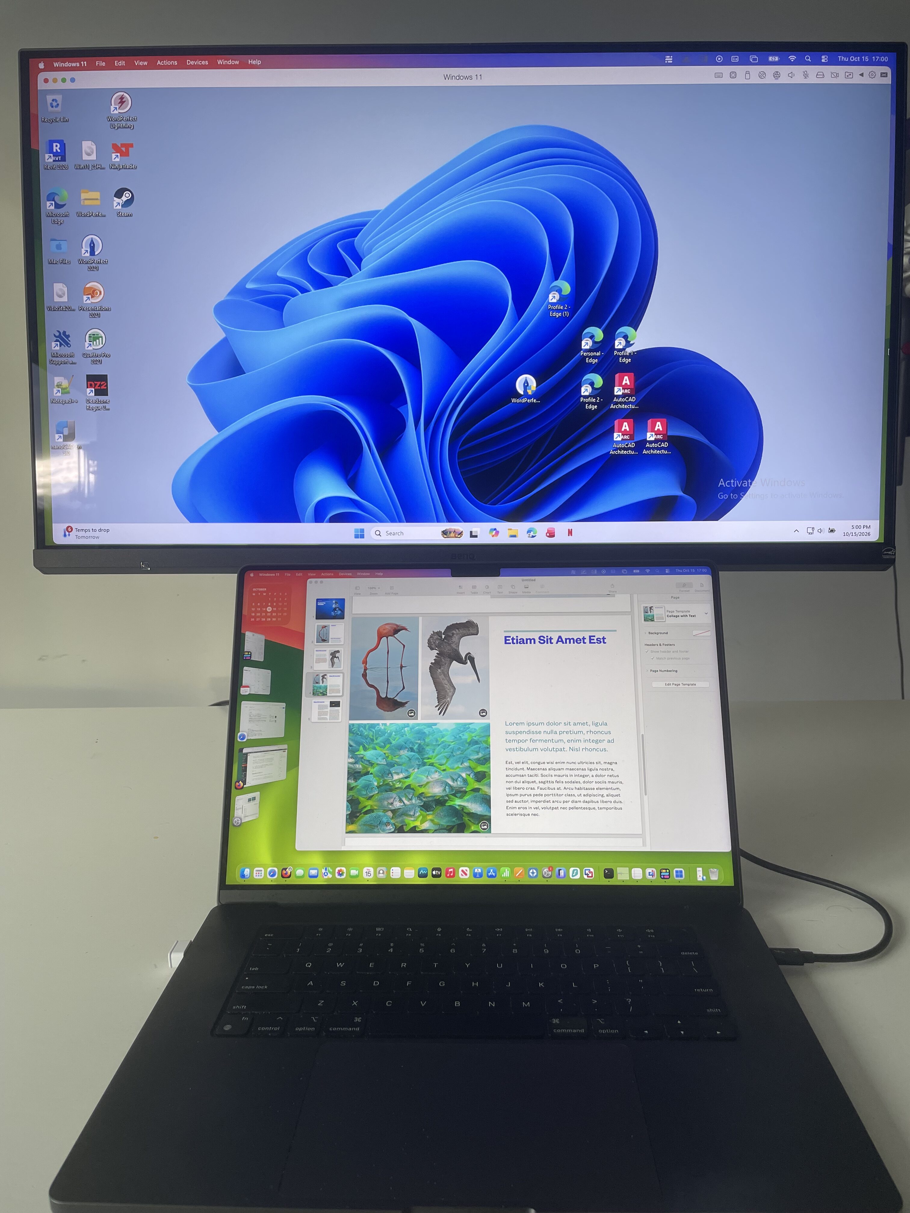 BenQ MA320UG using Windows as extended display